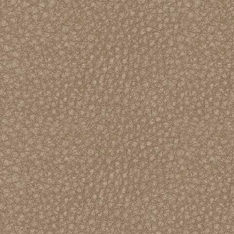 61004/31/46/58/62/77 : 61004S6